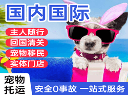 浦东机场邮寄国际宠物托运 【国